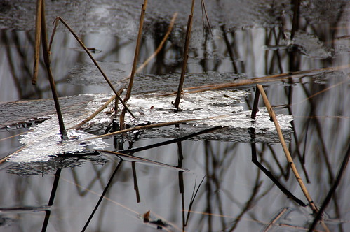 winter water reflections