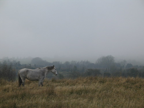 Cavan, Ireland | by Pat Rooney Armstrong