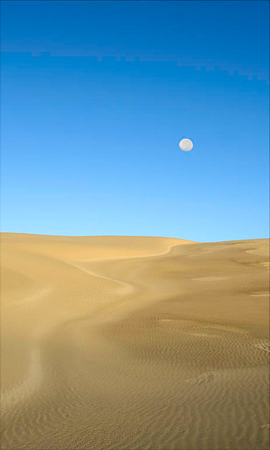 The Moon and the Dune