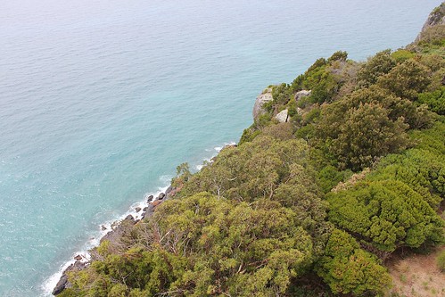 coast tasmania tablecape