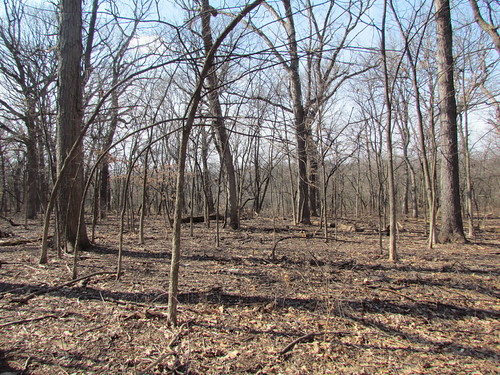 They have really cleared this section up! | by debstromquist