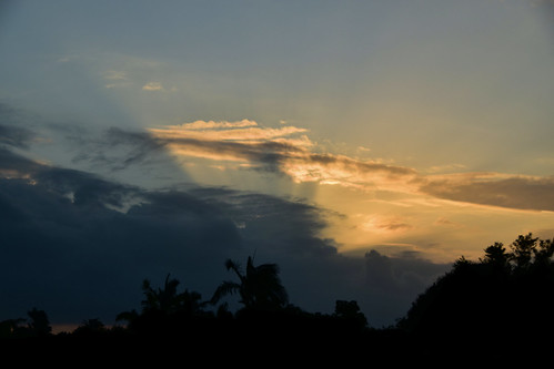 nikon d5500 dusk trees twilight nikkor nikkor18200mm palmtrees bluesky bundaberg australia queensland cloud sky