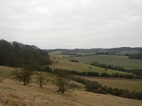 View from the escarpment Chilham Circular