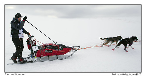 Thomas Waerner, Champion 2013 - Europe's longest sled dog race ... helmut-dietz-photo-2013