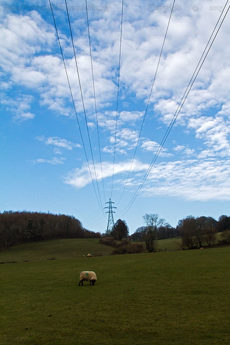 It's electrifying by Ollie_57.. Slowly catching up