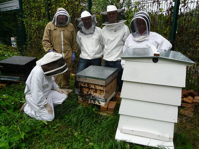 Erection of Honey Bee Hives at Stave Hill Ecology Park, London SE16 @ 27 August 2012 (4 of 4)
