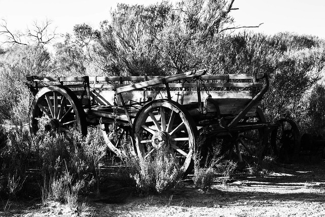 Old wagon in mallee bushland