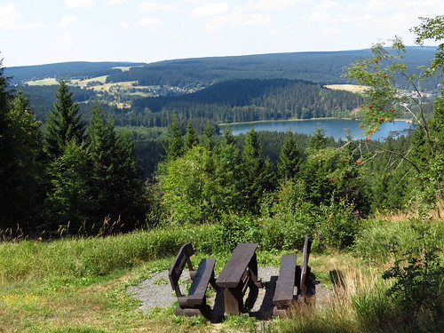 outdoor nature landscape landschaft thuringia thüringen germany germancute deutschland wald forest waidmannsheil