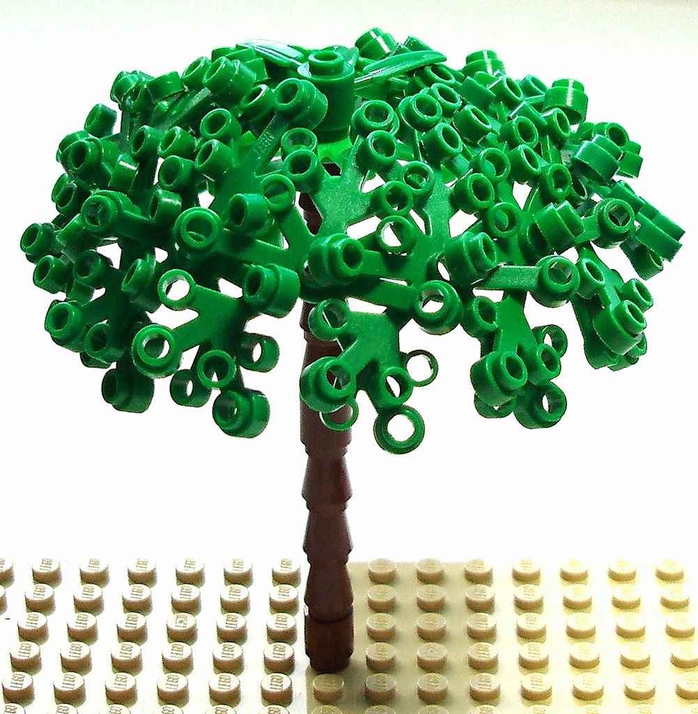 Tree Tutorial -- old photo, newly edited for a project