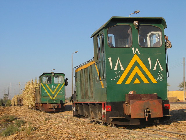 41.Egypt Sugar Cane Railway