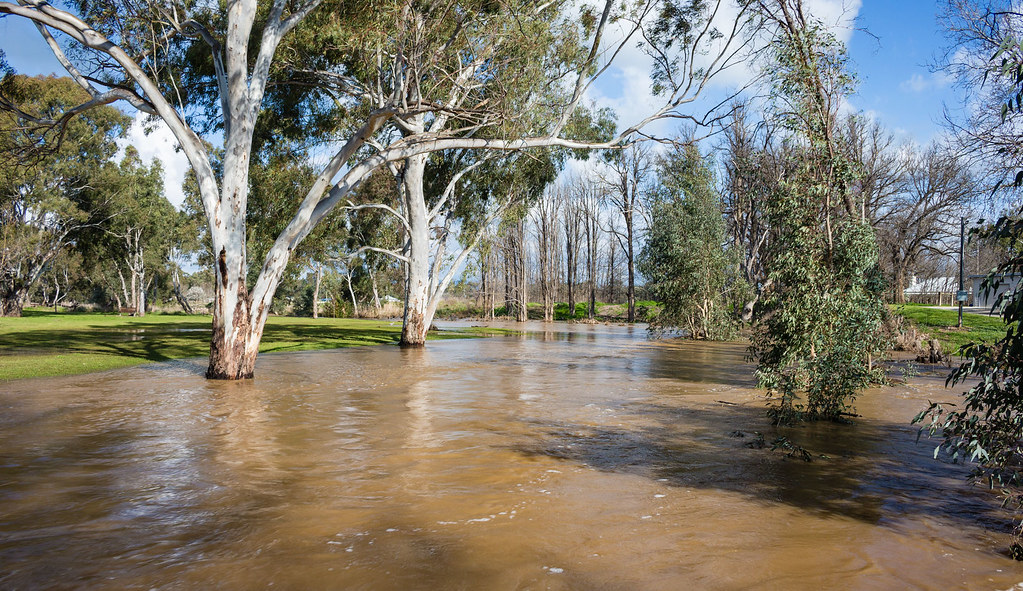 10 Mile Creek in flood