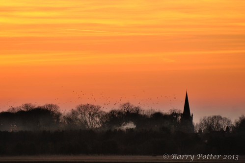 'ready to roost' by Barry Potter (EdenMedia), Barmby Moor, East Riding of Yorkshiresunset nikon redsky pocklington eastyorkshire barrypotter yabba