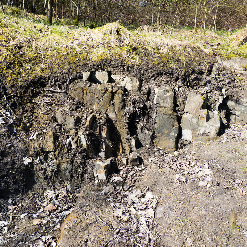Rock exposure, Springvale Park