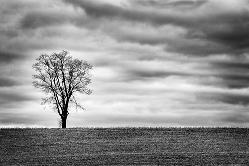 March by Dave6163, Driving up to visit my parents the other day.  Just one of those scenes you might drive past 100 tim