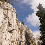 Picture of the hike