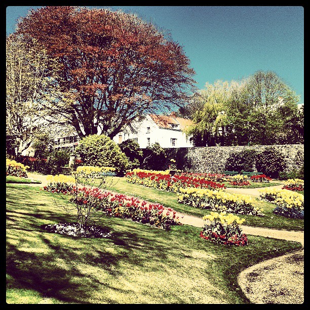 Candie gardens#colour#colours#sutro#park life#