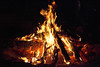 beautiful campfire