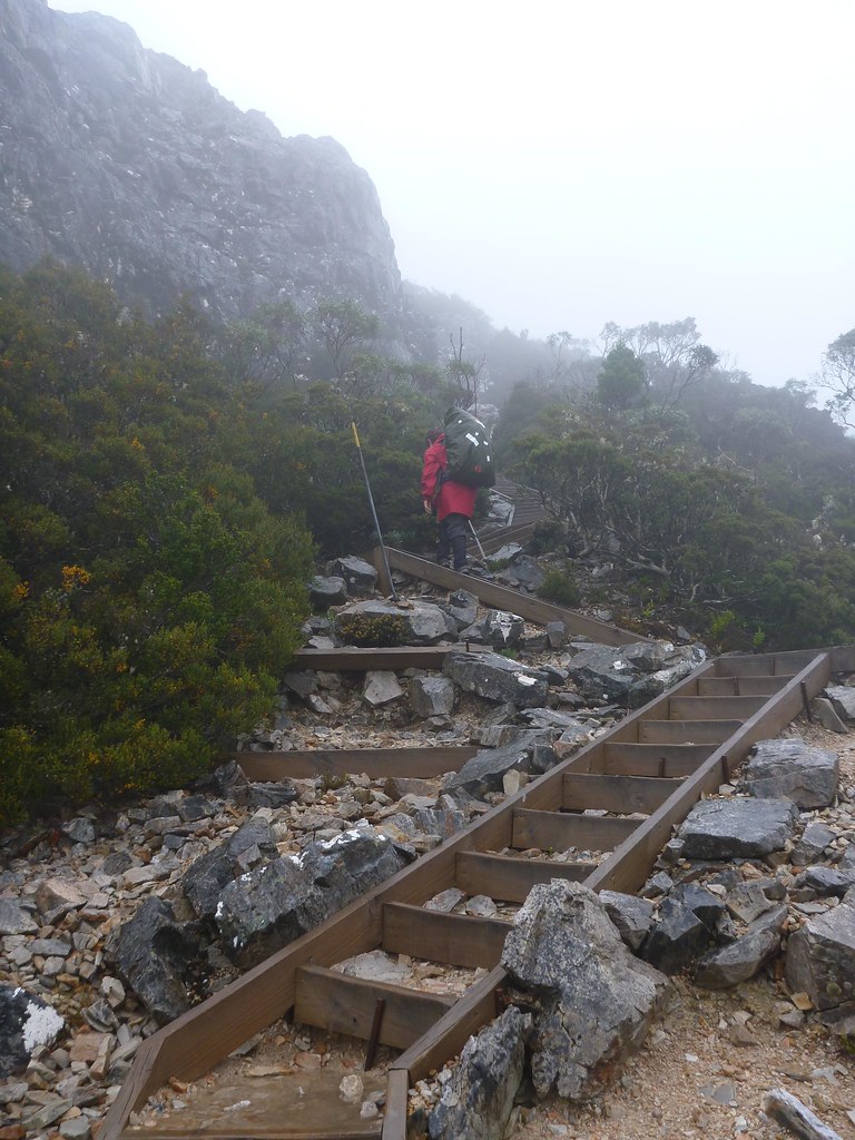 Marions Lookout