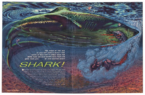SHARK! | by Unkee E.