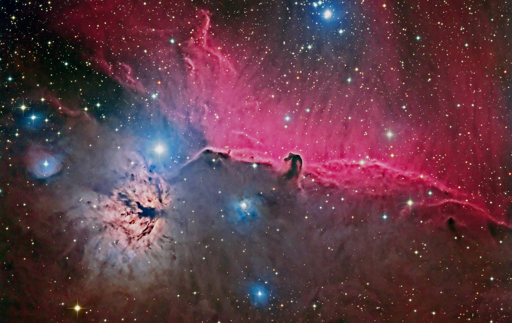 The Horsehead Nebula Artprize 2013 entry at GRAM