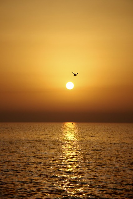 Golden Sunset in Emirates