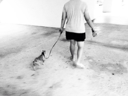 Void deck stroll | by larachoots