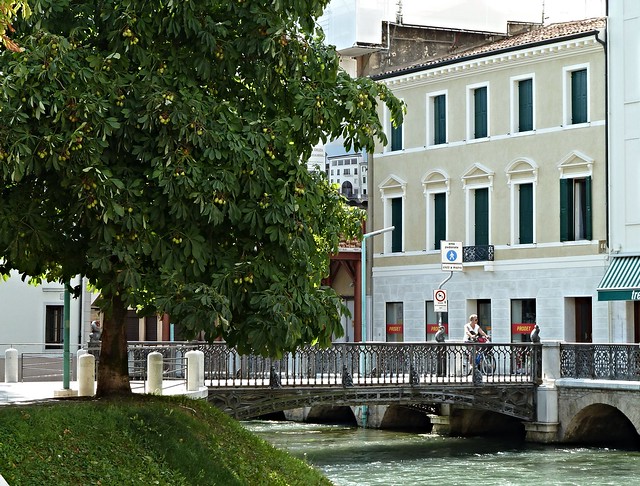 Treviso