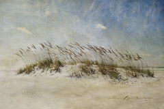 "Sand, Sea, Wind ~ Part II..." (Explored 11-14-14)