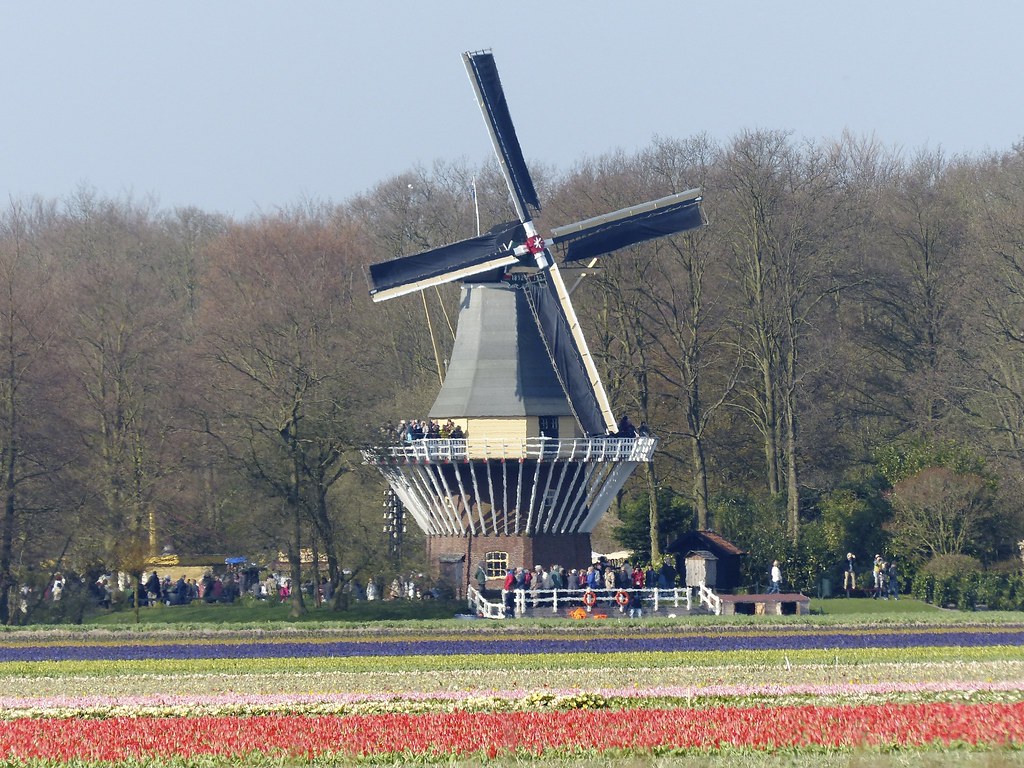 Keukenhof windmill