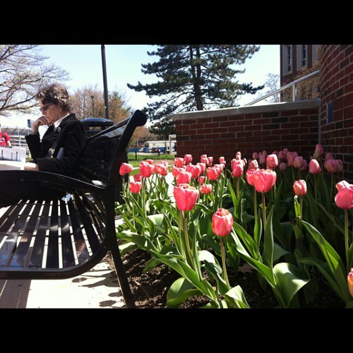Nature is the cheapest therapy. It influences positively deep inside you even though you get a glimpse of blooming flowers. What a wonderful world. #PennState #statecollege #Pennsylvania #pa #usa #america #nature #pretty #blooming #flowers #sunny #day #sp | by EliDawid