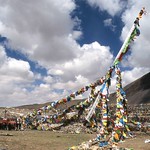 12 Tibet Kailash Saga Dawa