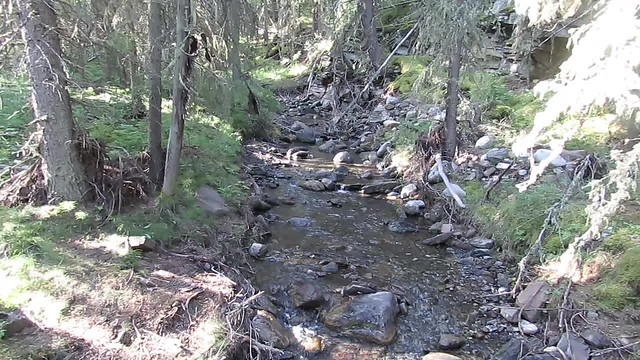Wind Ridge Scramble - Creek video
