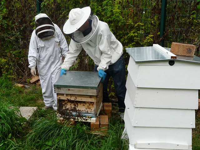 Erection of Honey Bee Hives at Stave Hill Ecology Park, London SE16 @ 27 August 2012 (3 of 4)