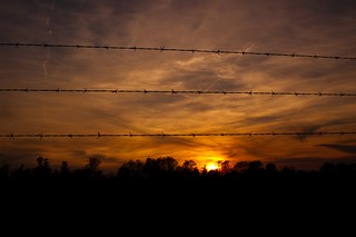 Barb Wire Sunset