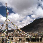 13 Tibet Kailash Saga Dawa
