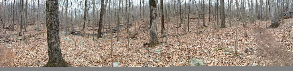 Lower Trail