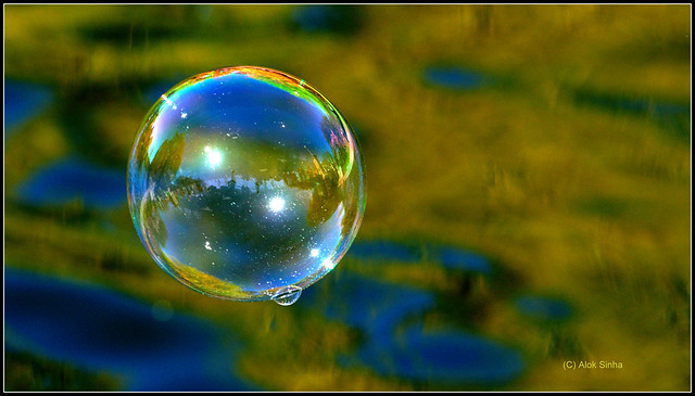 The bubble