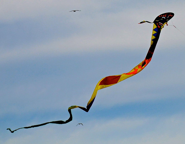 Kite at Indiana Dunes