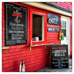 Nova Scotian Lobster Rolls