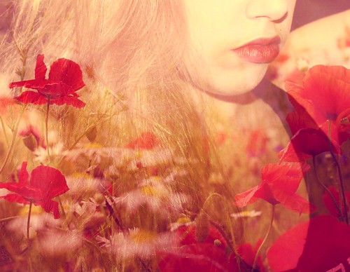 Flowers. | by Olga Ferrer Saladié