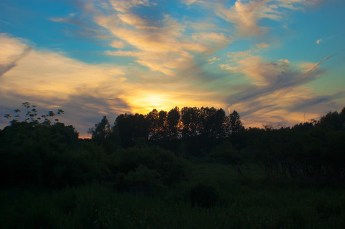 Sunset by mariel_klein, new york trees sunset color warwick