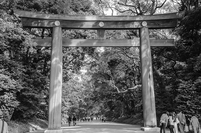 Torii (Shrine Gate). Meijj Shrine. Tokyo
