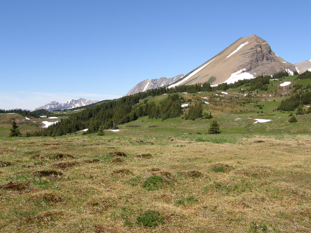 Willmore Wilderness Park