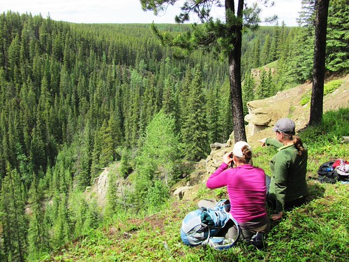 Pinto Creek Canyon NA