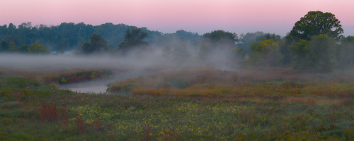 dawn fog river landscape panorama morningmist wildflowers grandriverinverhaughelorawellington countyontariocanadaolympus omd em5olympus 50mm f2 macrooloneomicrosoft ice gimp
