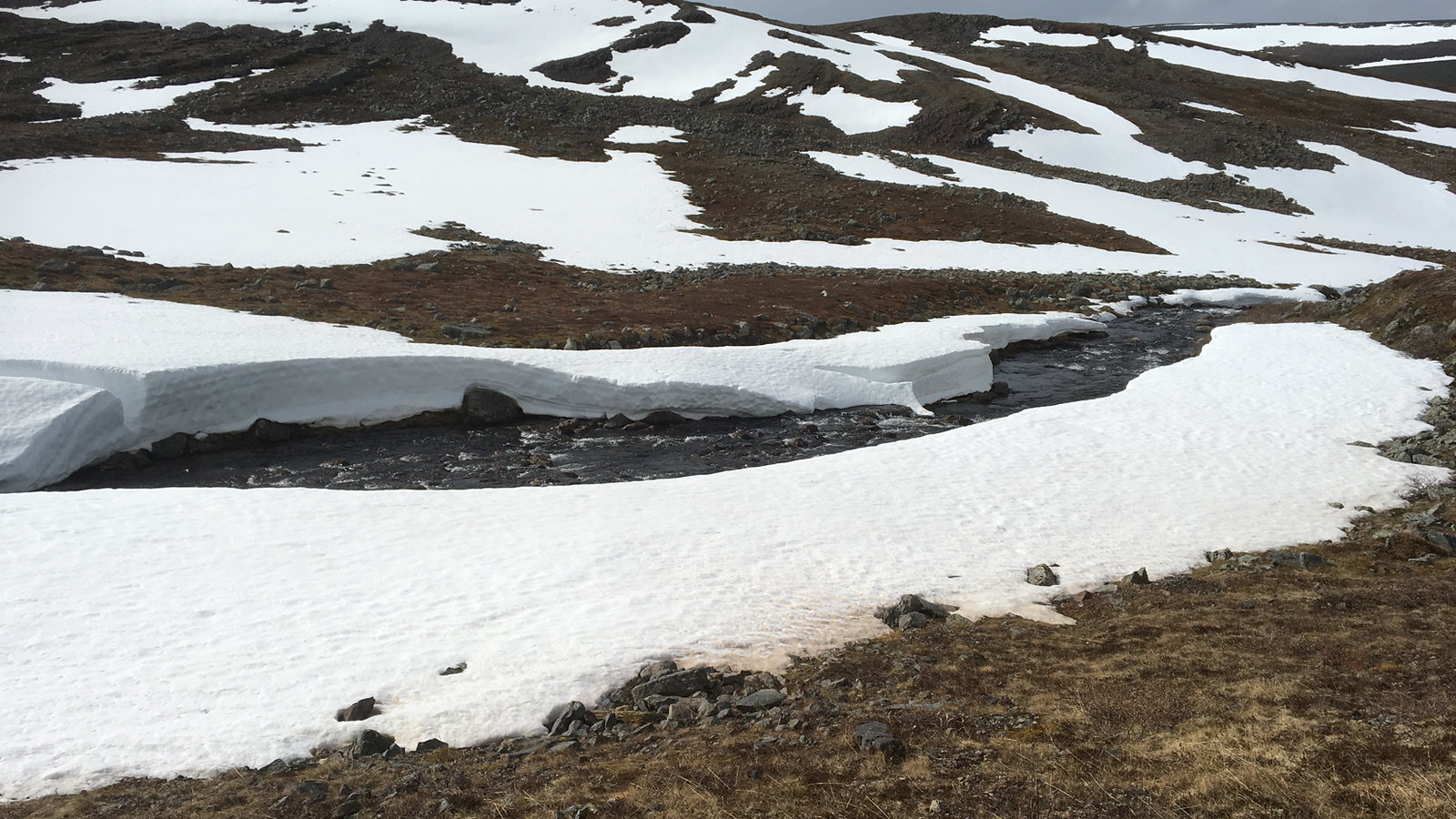 Varanger - snow and ice
