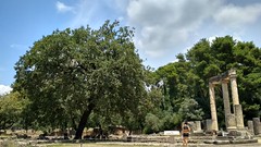 Trees in the shrine of ancient Olympia - Τα δένδρα του ιερού της αρχαίας Ολυμπίας #13