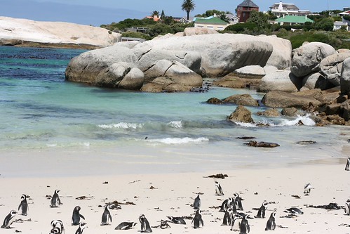 Cape Town