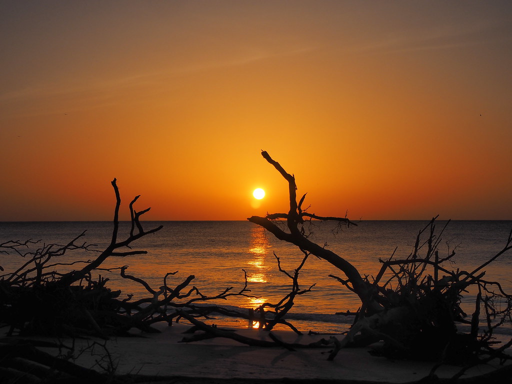 Sunrise Assortment | OLYMPUS DIGITAL CAMERA | carlinsc | Flickr
