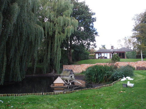 Pond in Weedon SWC Walk 194 Aylesbury Vale Parkway to Aylesbury 